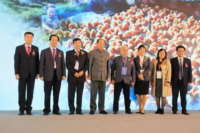 達(dá)信雅為認(rèn)證暨2019“福澤大埔·壽度千秋”高端論壇提供日語翻譯服務(wù)