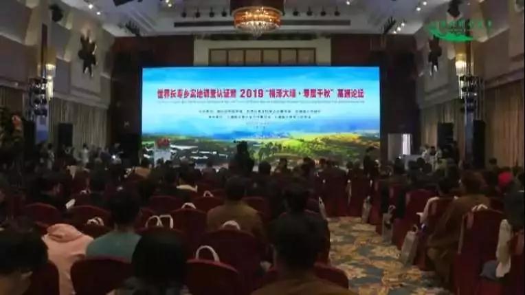 達(dá)信雅為認(rèn)證暨2019“福澤大埔·壽度千秋”高端論壇提供日語翻譯服務(wù)