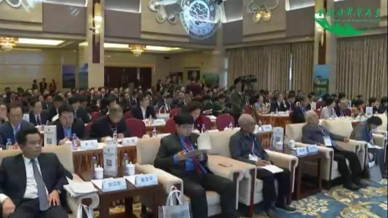 達(dá)信雅為認(rèn)證暨2019“福澤大埔·壽度千秋”高端論壇提供日語翻譯服務(wù)